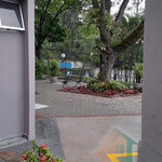 Imagem 21 de 28