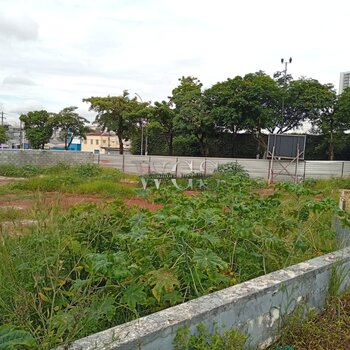 Terreno com 1.596 mts² para locação - Av. Atlântica/Socorro - Zona Sul - SP