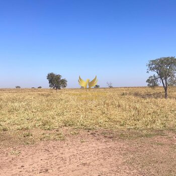 FAZENDA DE CANA 380 ALQUEIRES  PLANALTO SP