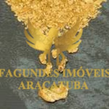 MINERTADORA DE OURO