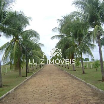 VENDO FAZENDA MODELO AGRO 438ALQUEIRES MUNDO NOVO GO