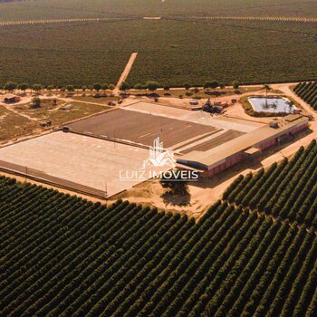 Vendo Fazenda Café 1.216Hectares Norte De Minas 