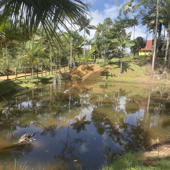 Sítio Avenda na região aparecida 10km do centro de marechal Floriano E.S