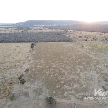 FAZENDA PARA PECUÁRIA